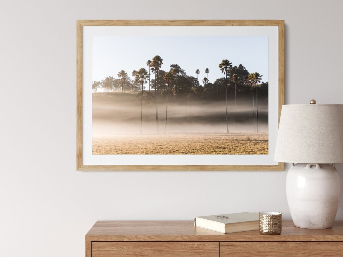 "Wispy Palms" Photography Print - Belinda Doyle - Australian Photographer & Resin Artist